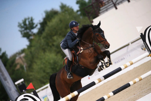  ���������� �������� �������� � ���������� ����������� ����� � ������! 